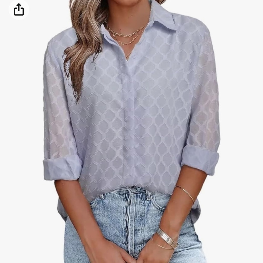 Sheer Long Sleeve Button Down Blouse